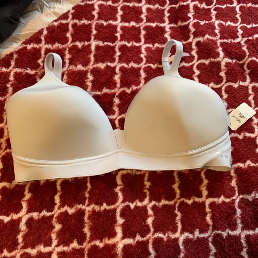 Aerie Bra 40-D